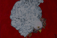Poule-de-neige-8-2015-50x50