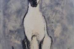 Siamois-2013-80x100