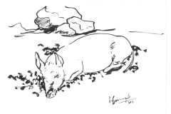 Cochon