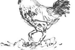 Coq
