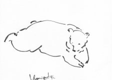 Ours-brun