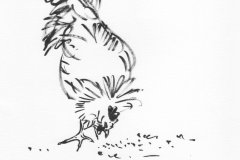 Poule
