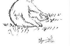 Singe