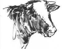 Vache