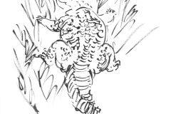 alligator