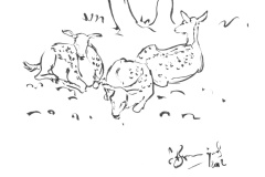 daims