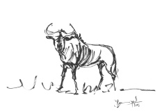 gnou
