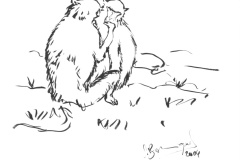 singes