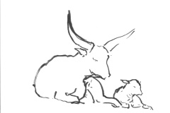 watusi
