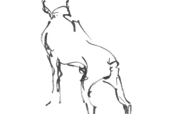 Boxer-1