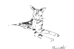 Chat-2