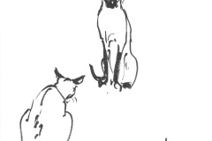 Chats-siamois-1
