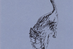 Finette-1