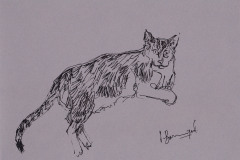 Finette-10
