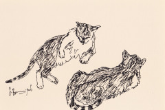 Finette-11