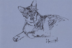 Finette-12