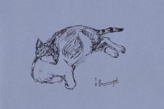 Finette-13