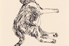 Finette-3