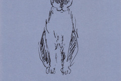 Finette-4