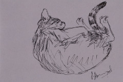 Finette-6