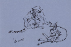 Finette-9