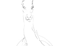 Lama