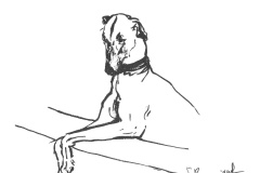 Levrier
