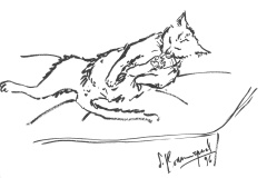 Lupin-2