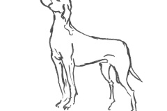 Pointer