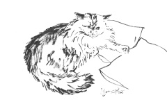 chat