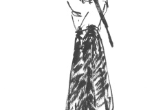 Aikido-2