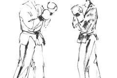Yoseikan-Budo-2