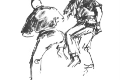 Yoseikan-Budo-5