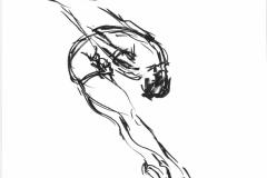 Ballet-Capitole-34