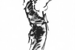 Flamenco-1