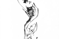 Flamenco-3