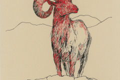 Argali-A3