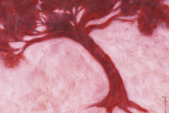 Aupres-de-mon-arbre-16