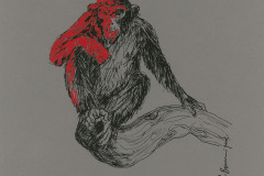 Chimpanze-2-A3