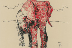 Elephant-2-A3