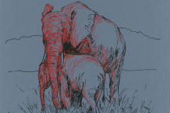 Elephants-3-A3