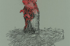 Grand-hamster-dAlsace-A3