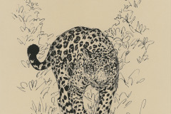 Jaguar-2-A3