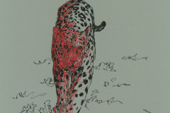 Jaguar-A3