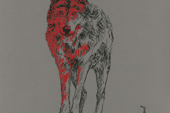 Loup-A3