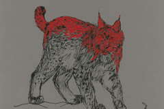 Lynx-A3