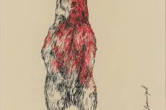 Ours-brun-2-A3