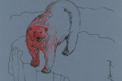 Ours-polaire-A3
