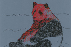 Panda-geant-A3