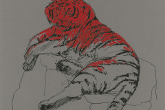 Tigre-A3